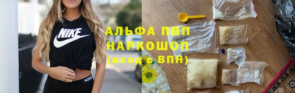 твердый Дмитровск
