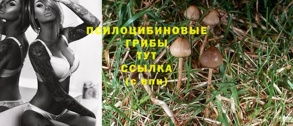 кокаин премиум Гусев