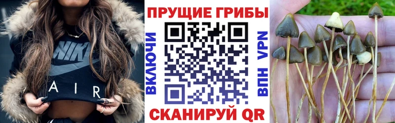 Галлюциногенные грибы MAGIC MUSHROOMS  Орск 